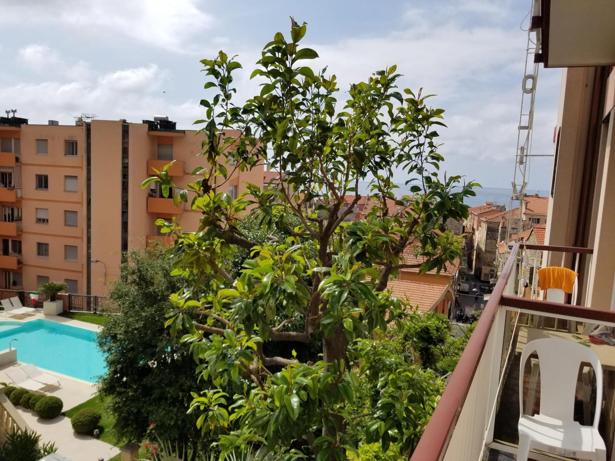 Apartahotel Olivotti